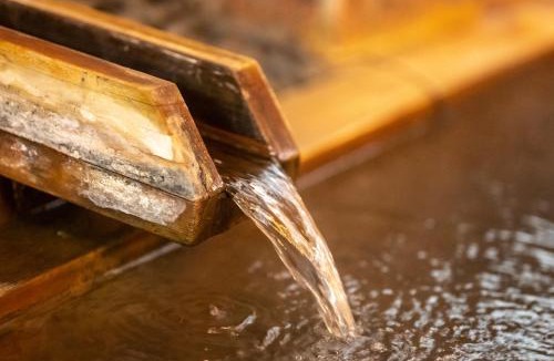 Yudanaka Shibu Onsen Hotel | Shibu Onsen KADOYA