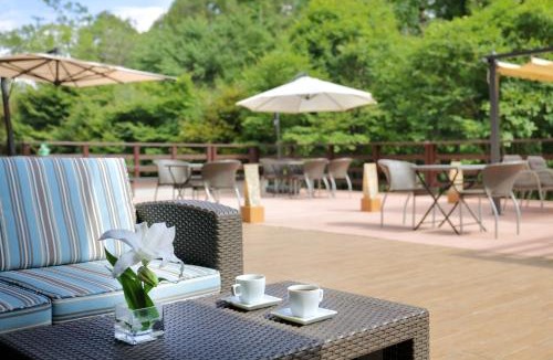 Hakusan National Park Hotel | Hotel Ryu Resort and Spa