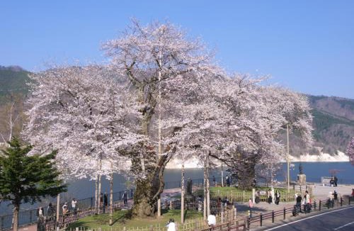 Hakusan National Park Hotel | Hotel Ryu Resort and Spa