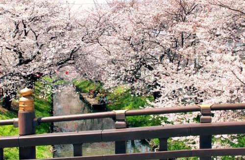 Kawagoe Hotel | Kawagoe Prince Hotel