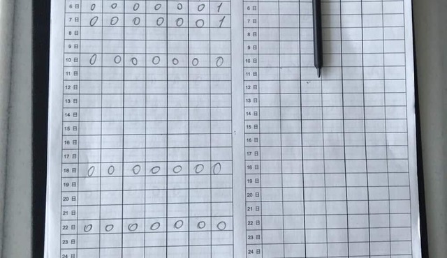 nico chan house