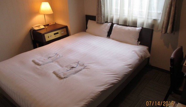 Hotel Green With