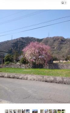 悠の宿