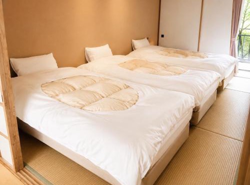 Minami Hakone Villa