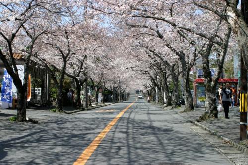 リゾートホテル伊東山荘-Toki-