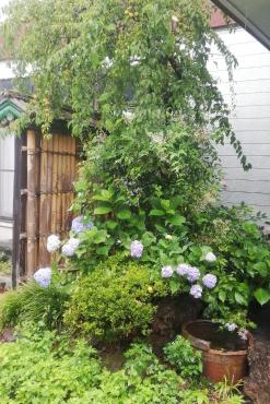 Suijin Hotel - Vacation STAY 23120v