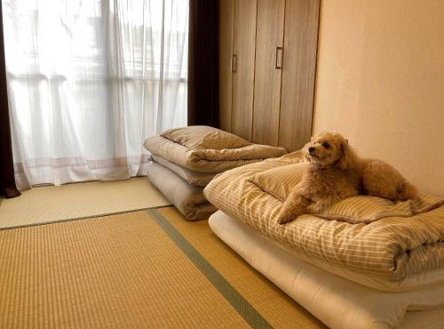 Kyoto-Gion Tourist House