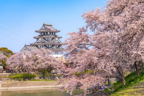 Okasan Hotel Stay 